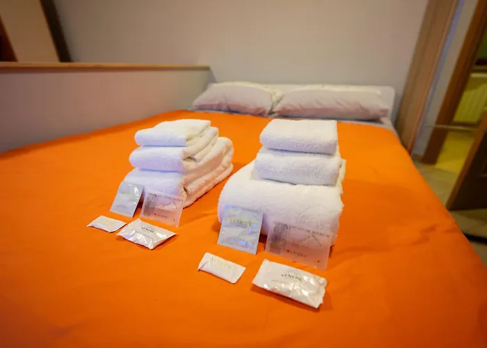 Turin Airport F 莱尼