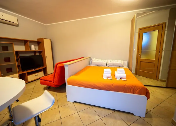 Turin Airport F 莱尼